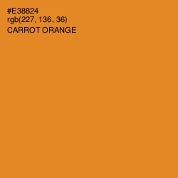 #E38824 - Carrot Orange Color Image